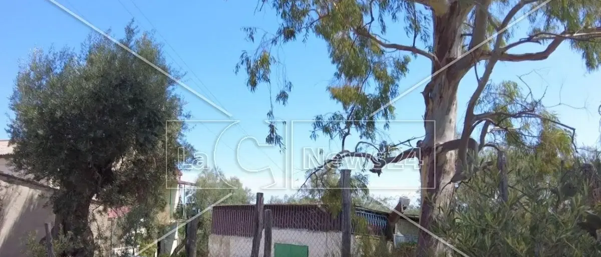 Scomparsa per 3 giorni e ritrovata legata: «Scappata di casa o rapita?», zone d’ombra nel racconto di Pina Sidaro