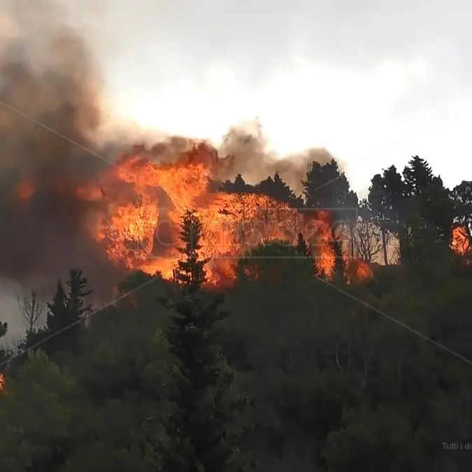 Lotta agli incendi boschivi, dal Piemonte due colonne mobili per Calabria e Sicilia