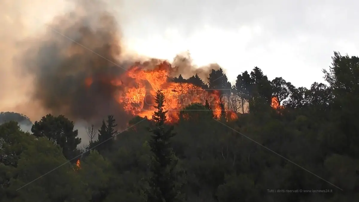 Lotta agli incendi boschivi, dal Piemonte due colonne mobili per Calabria e Sicilia