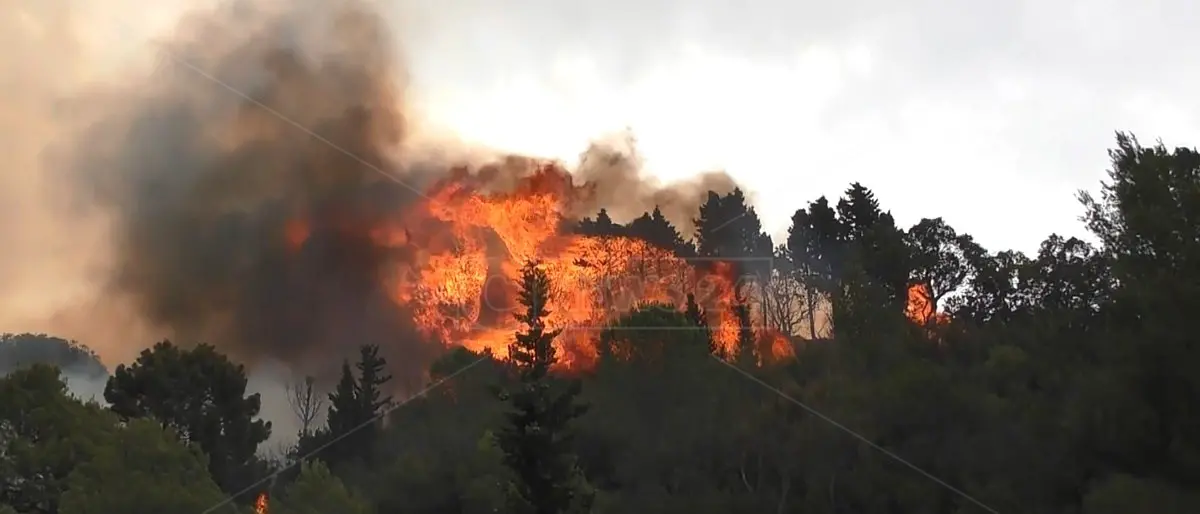 Lotta agli incendi boschivi, dal Piemonte due colonne mobili per Calabria e Sicilia