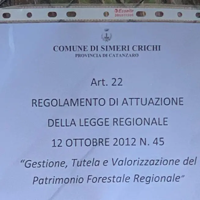 Simeri mare, al Villaggio Eucalpitus niente più sosta per le auto in pineta: troppi rifiuti abbandonati