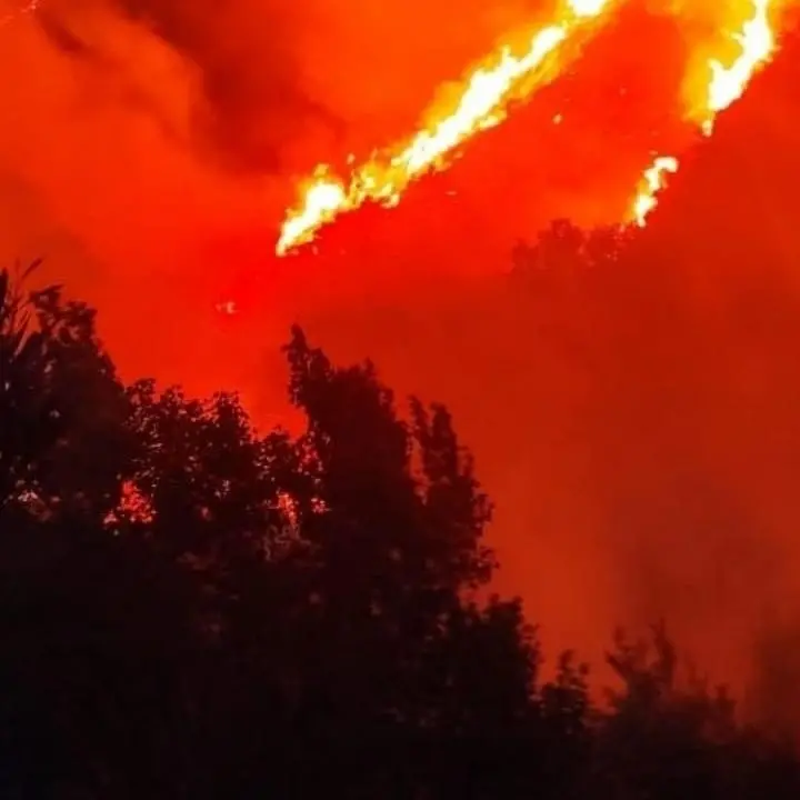 Emergenza incendi nel Catanzarese, oltre trenta roghi nelle ultime 24 ore