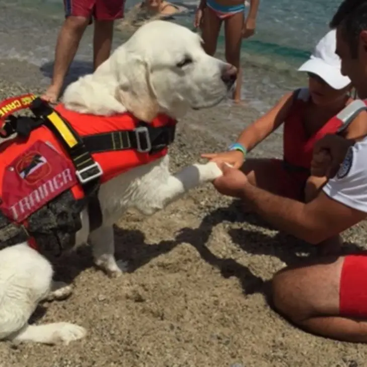 Anziana accusa un malore in mare a Montepaone: tratta in salvo e riportata a riva dal cane bagnino Mae