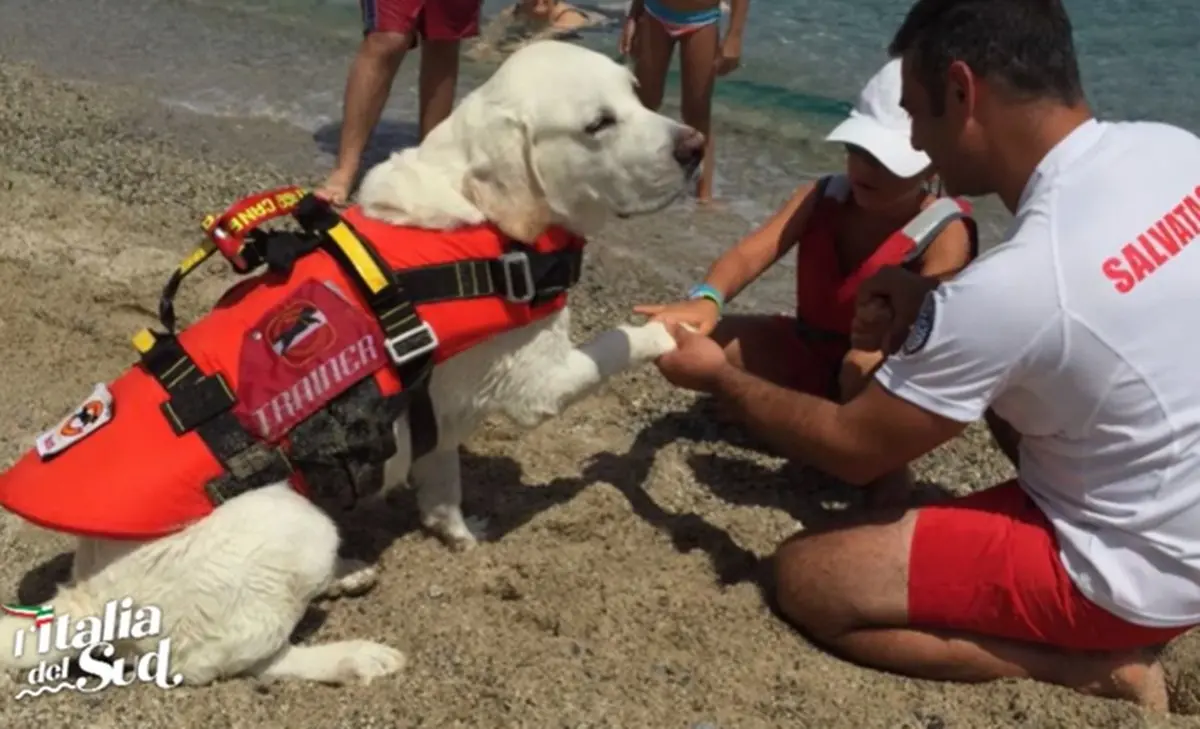 Anziana accusa un malore in mare a Montepaone: tratta in salvo e riportata a riva dal cane bagnino Mae