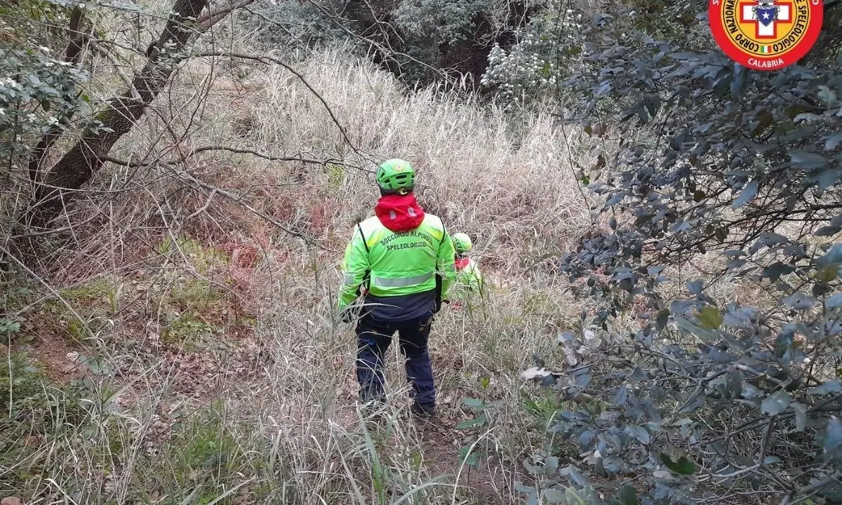Ritrovato vivo l’anziano disperso nel pomeriggio in Sila cosentina