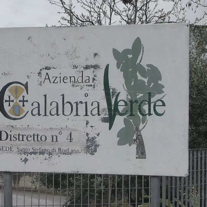 Calabria Verde, la Regione proroga l’incarico di commissario straordinario a Giuseppe Oliva