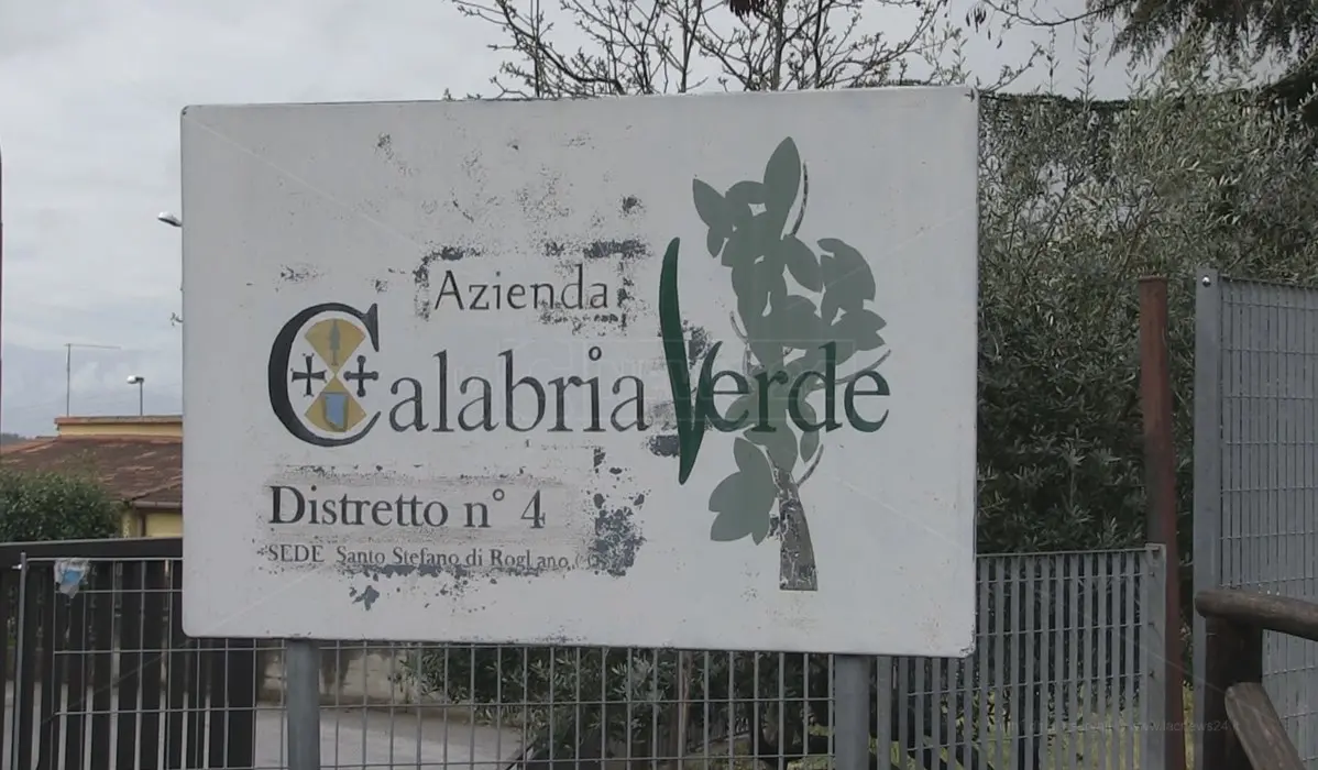 Calabria Verde, la Regione proroga l’incarico di commissario straordinario a Giuseppe Oliva