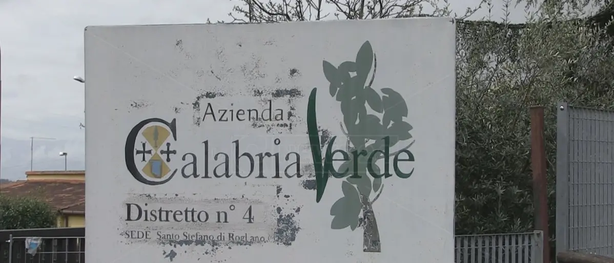 Calabria Verde, la Regione proroga l’incarico di commissario straordinario a Giuseppe Oliva