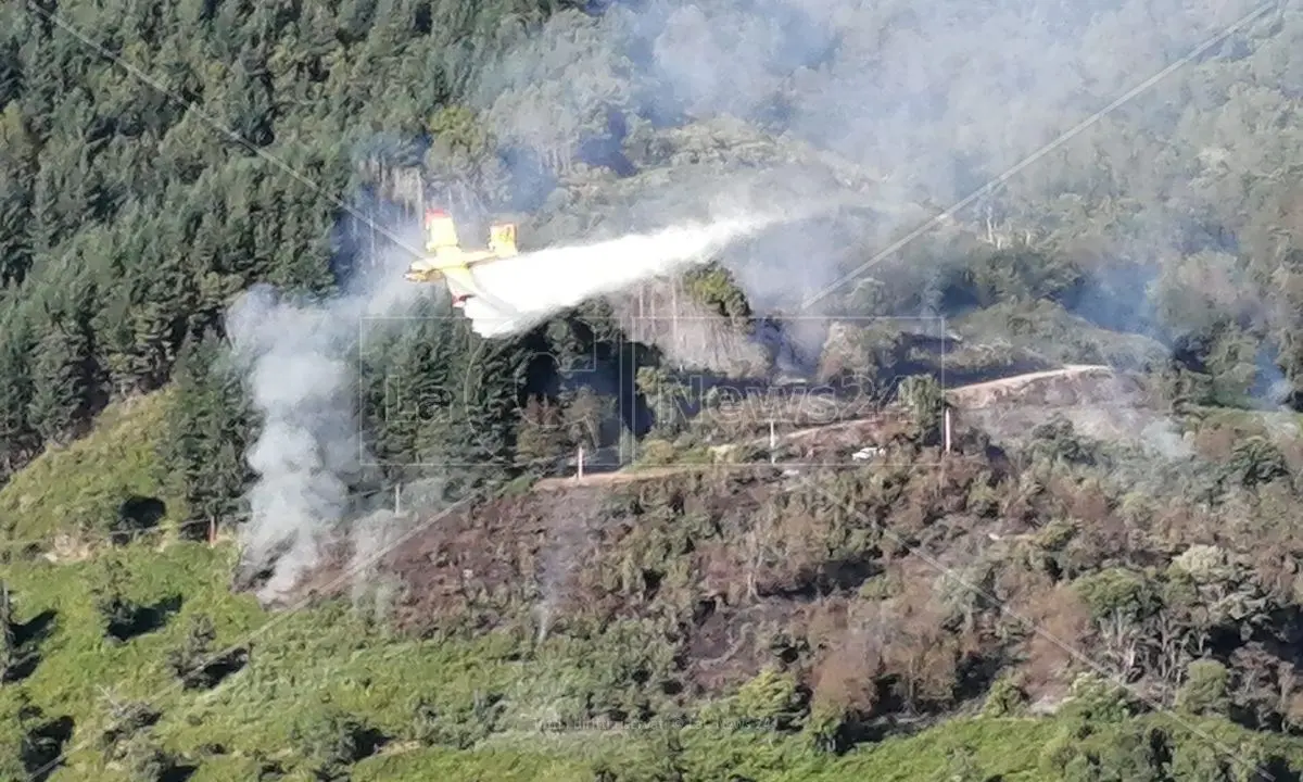 Incendio a Nocera Terinese, canadair in azione per spegnere le fiamme ai piedi del Monte Mancuso