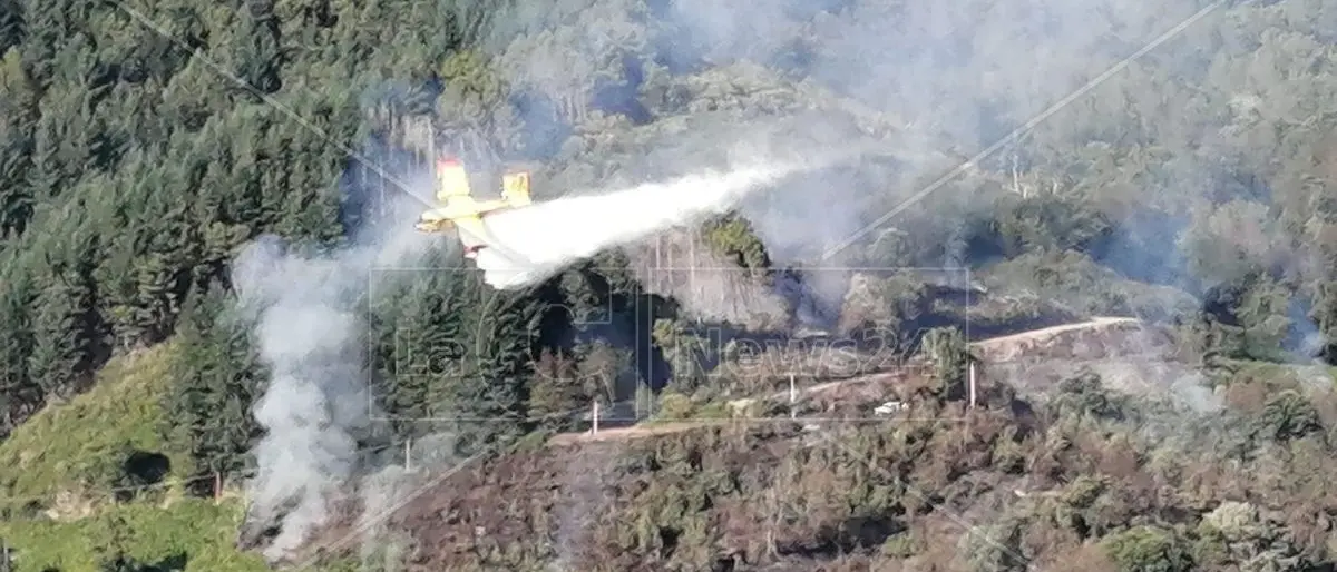 Incendio a Nocera Terinese, canadair in azione per spegnere le fiamme ai piedi del Monte Mancuso