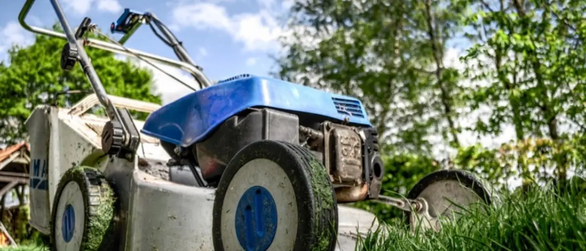 Crotone, 7 detenuti cureranno il verde pubblico: sottoscritto accordo