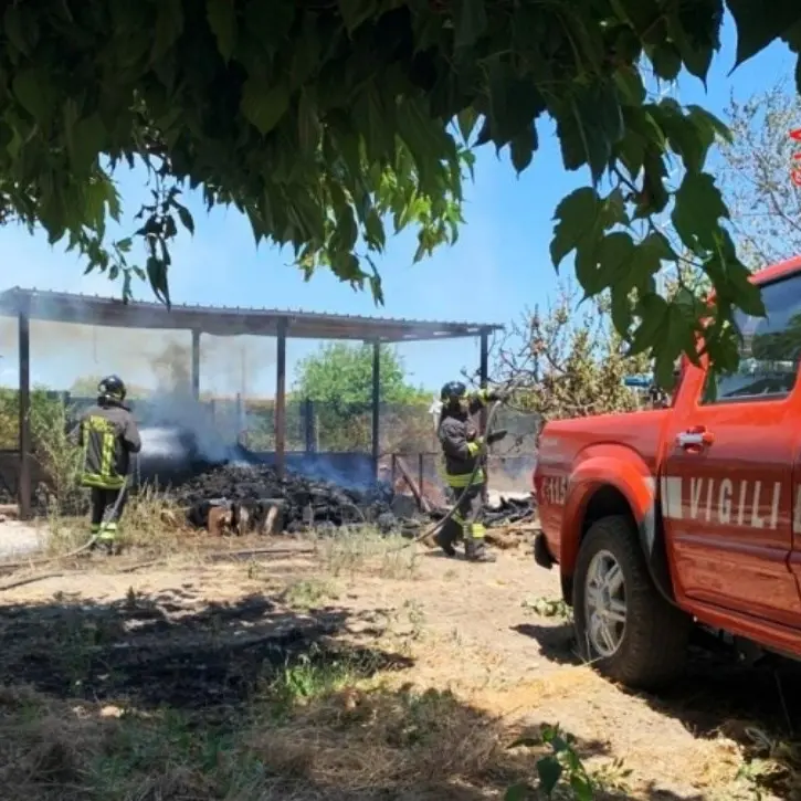 Vasto incendio nel Catanzarese, anziano cerca di mettere in salvo il pollaio ma muore ustionato