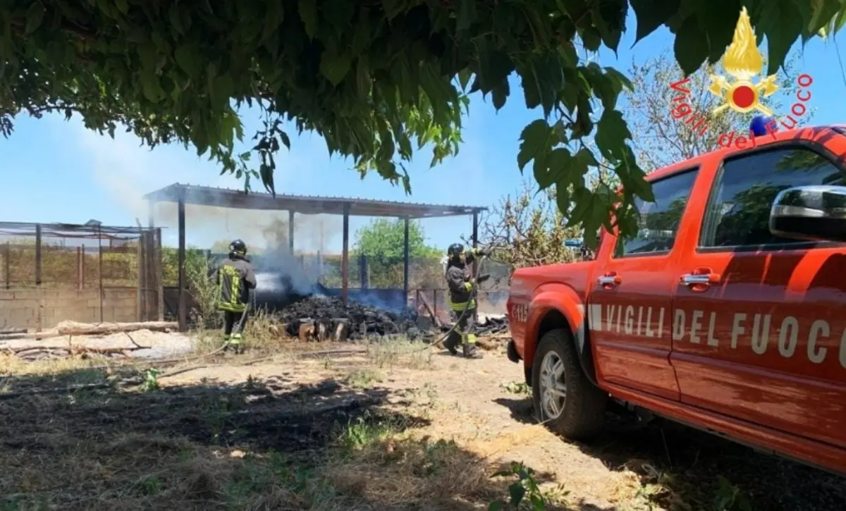 Vasto incendio nel Catanzarese, anziano cerca di mettere in salvo il pollaio ma muore ustionato