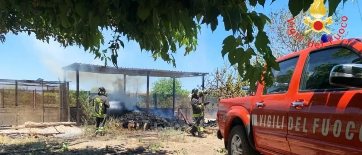 Vasto incendio nel Catanzarese, anziano cerca di mettere in salvo il pollaio ma muore ustionato