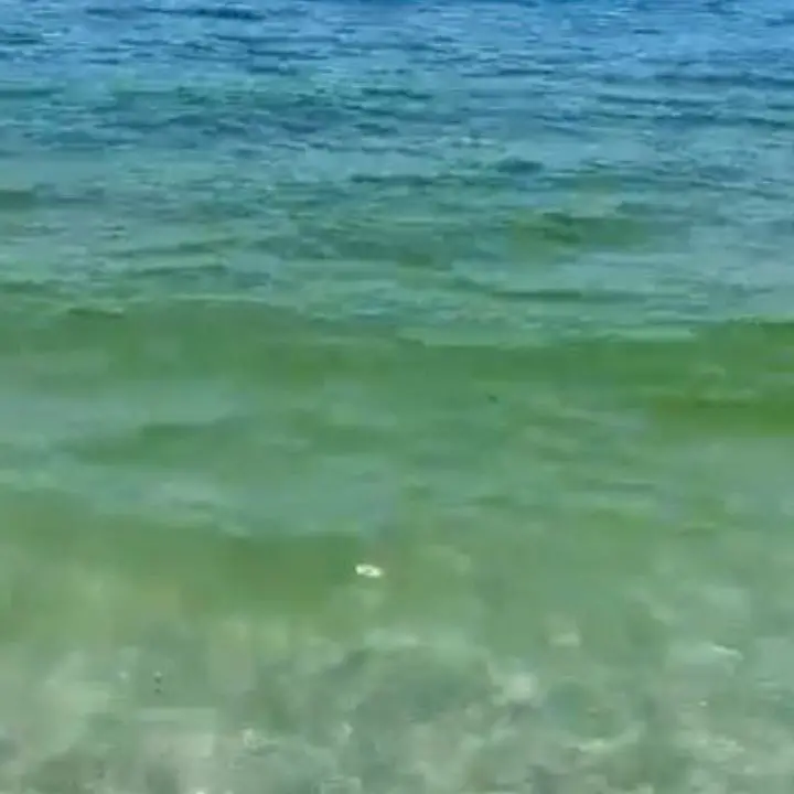 Il colore del mare tra Pizzo e Nocera Terinese preoccupa i bagnanti: avviati i controlli alla foce dei fiumi
