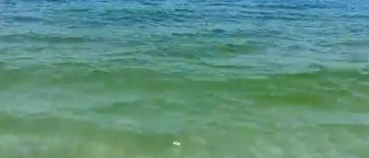 Il colore del mare tra Pizzo e Nocera Terinese preoccupa i bagnanti: avviati i controlli alla foce dei fiumi