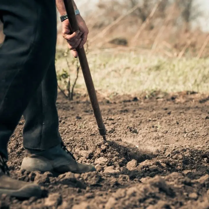 In Calabria meno aziende agricole, diminuite del 30,7% nell’ultimo decennio