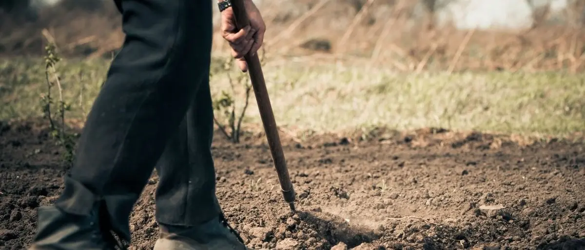 In Calabria meno aziende agricole, diminuite del 30,7% nell’ultimo decennio