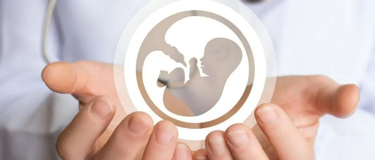 «A Cosenza l’aborto non è più un diritto garantito», la protesta dalla portavoce regionale delle donne dem