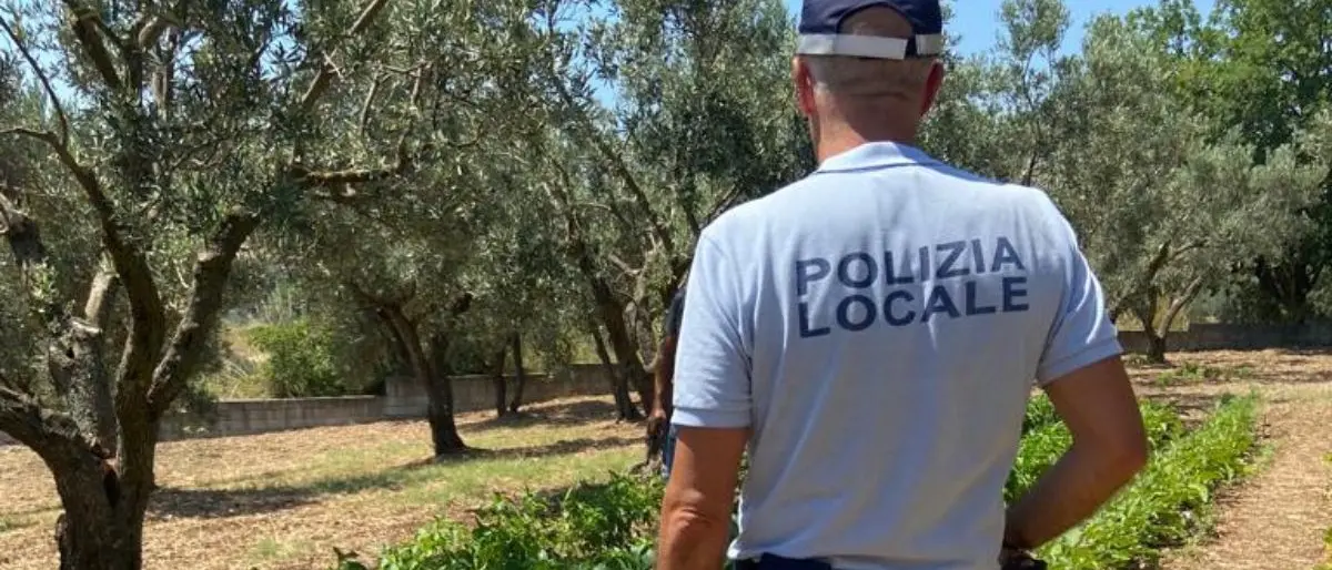 Catanzaro, allacci abusivi alla rete idrica per irrigare i campi: 16 sequestri nell’ultima settimana