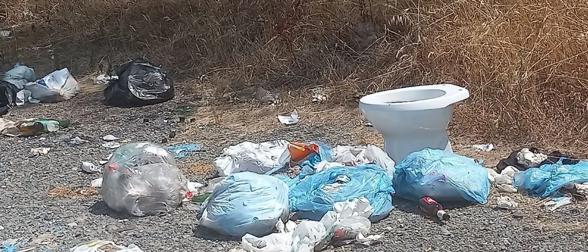 Catanzaro, pineta di Siano: dopo la devastazione del fuoco l’oltraggio dei rifiuti a due passi dal parco giochi