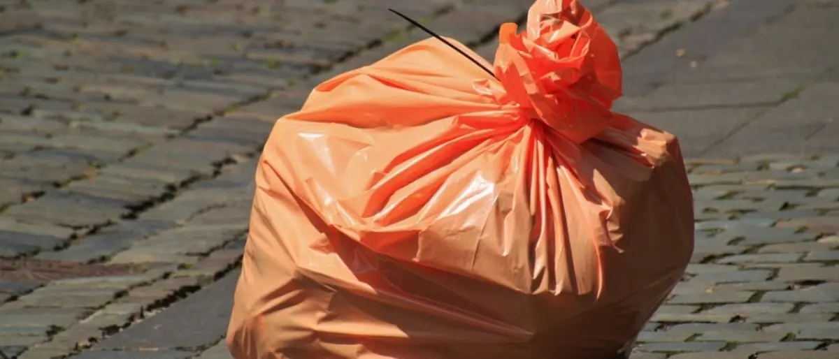 A Catanzaro installate foto-trappole anti furbetti. Il Comune: «Tolleranza zero contro gli incivili»