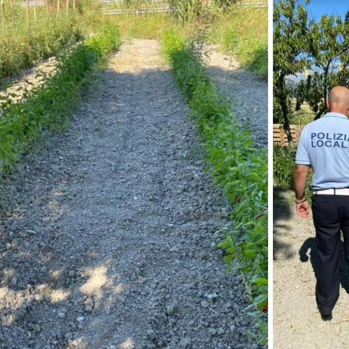 Vasto terreno irrigato con allacci abusivi, scatta il sequestro a Germaneto