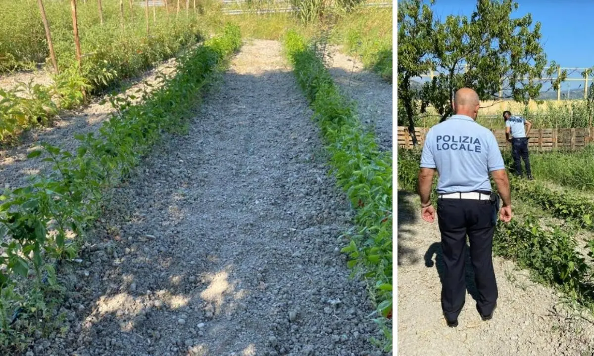 Vasto terreno irrigato con allacci abusivi, scatta il sequestro a Germaneto