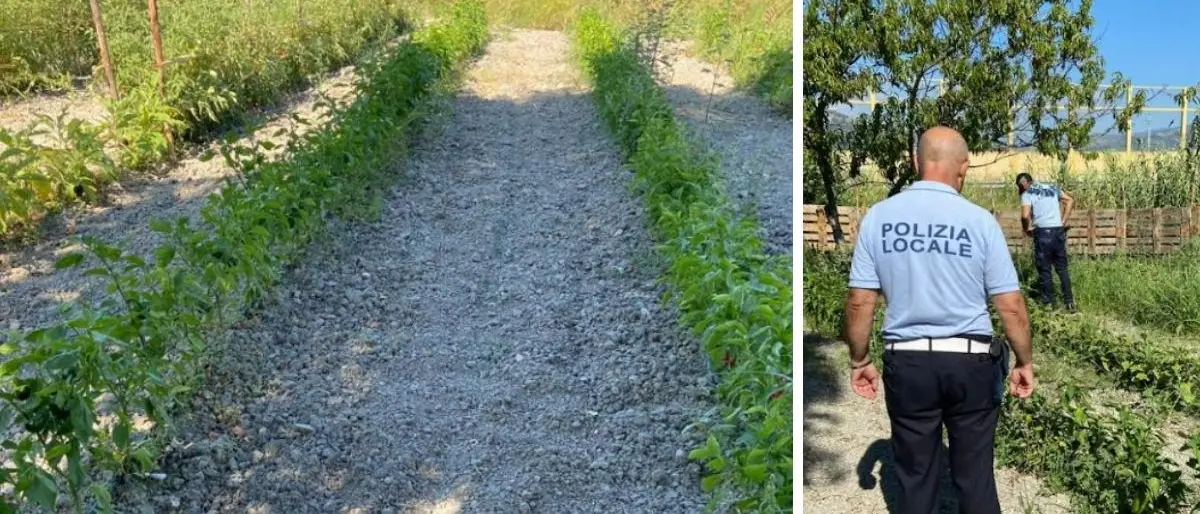 Vasto terreno irrigato con allacci abusivi, scatta il sequestro a Germaneto