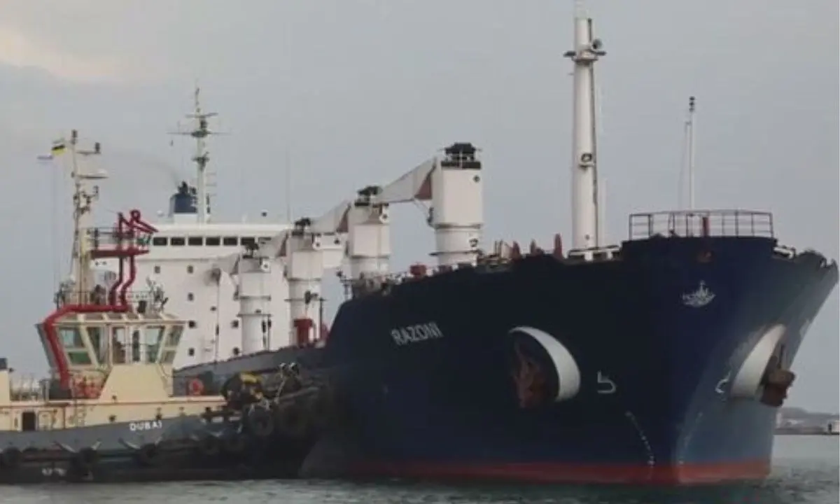 La prima nave con il grano ucraino è ancorata in sicurezza al largo delle coste turche