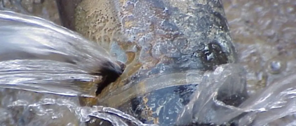 Acqua, il commissario Gualtieri scrive ai Comuni calabresi e avvia ricognizione su infrastrutture idriche