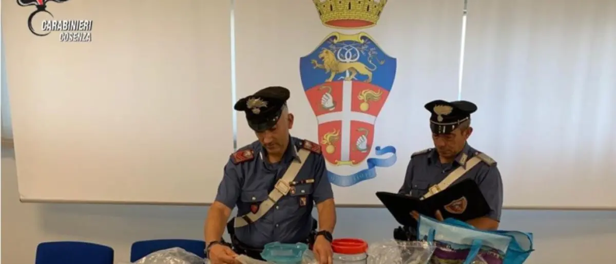 Nascondeva in casa 2 chili di marjuana, arrestato 32enne a Rende