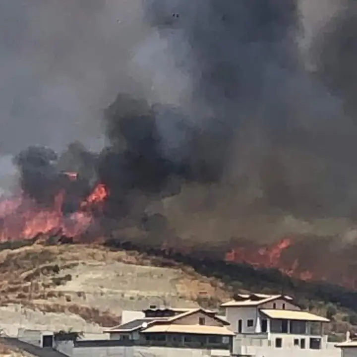 Vasto incendio a Catanzaro, le fiamme alte minacciano alcune abitazioni