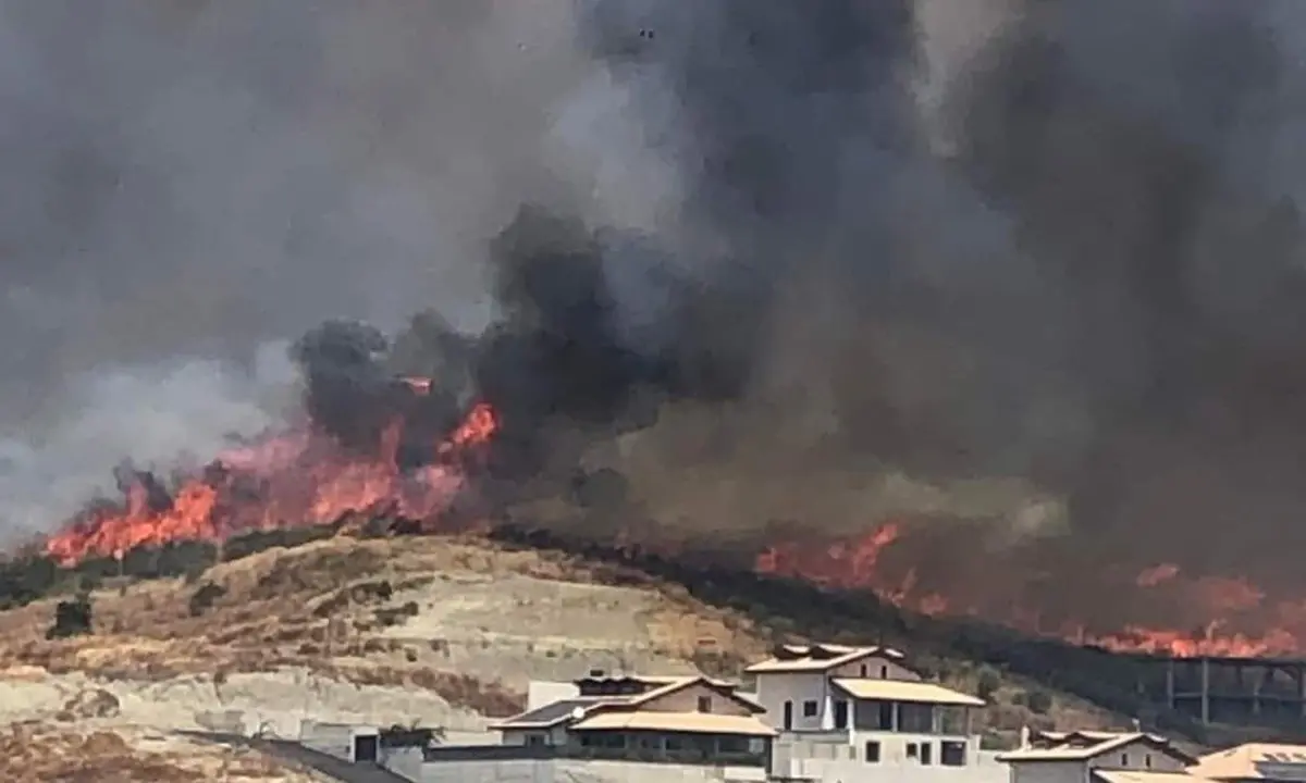 Vasto incendio a Catanzaro, le fiamme alte minacciano alcune abitazioni