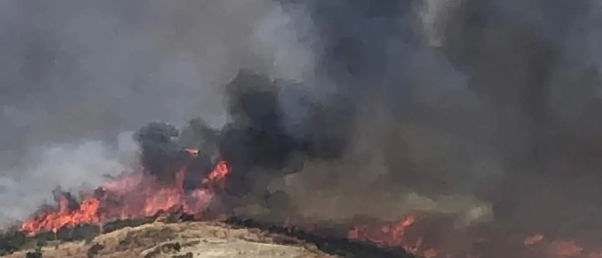 Vasto incendio a Catanzaro, le fiamme alte minacciano alcune abitazioni