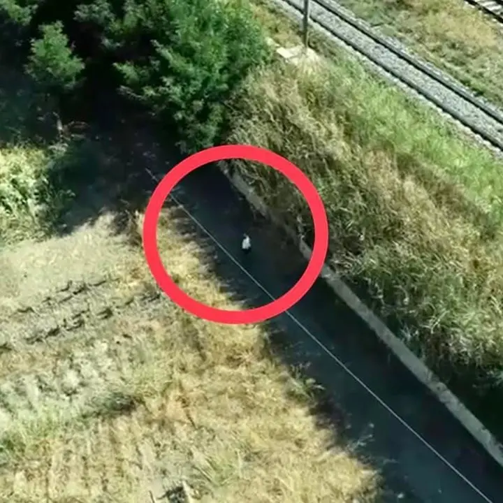 Guerra ai piromani, Occhiuto pubblica le foto: «Ora in Calabria più controlli»
