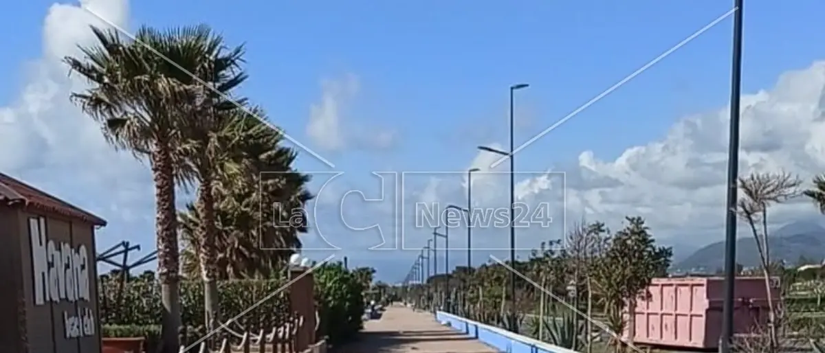 Santa Maria del Cedro, turista tenta di uccidere dei gatti con un bastone e poi minaccia una ragazza