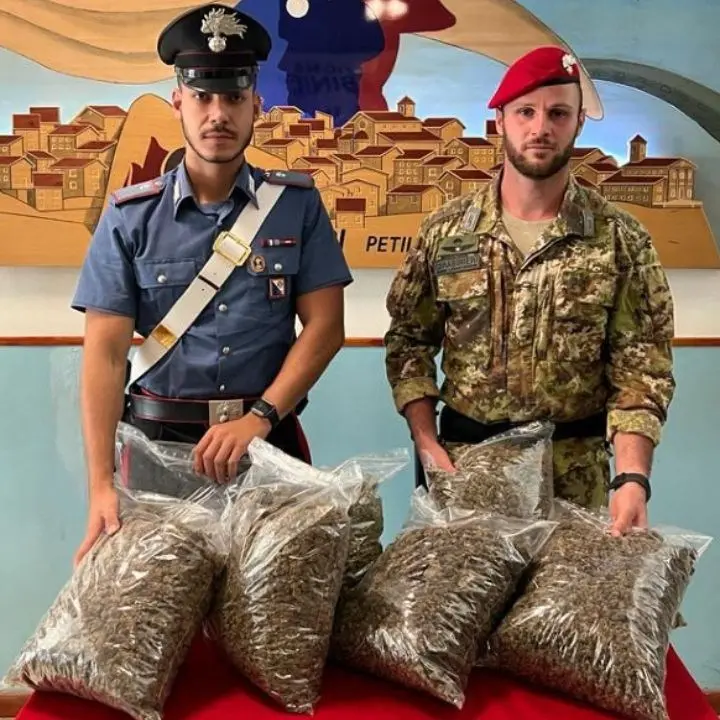 Coltivavano marijuana nel Crotonese, tre arresti: c’è anche un consigliere comunale