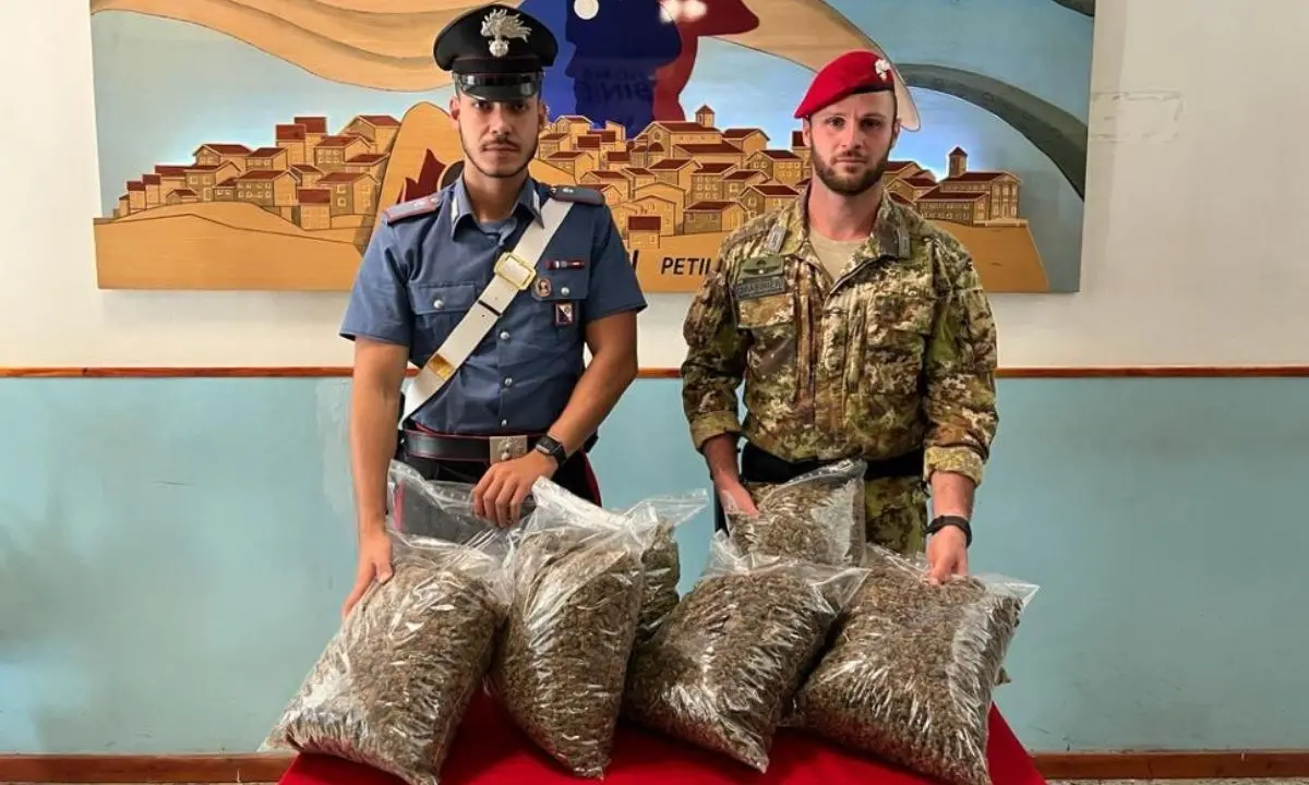 Coltivavano marijuana nel Crotonese, tre arresti: c’è anche un consigliere comunale