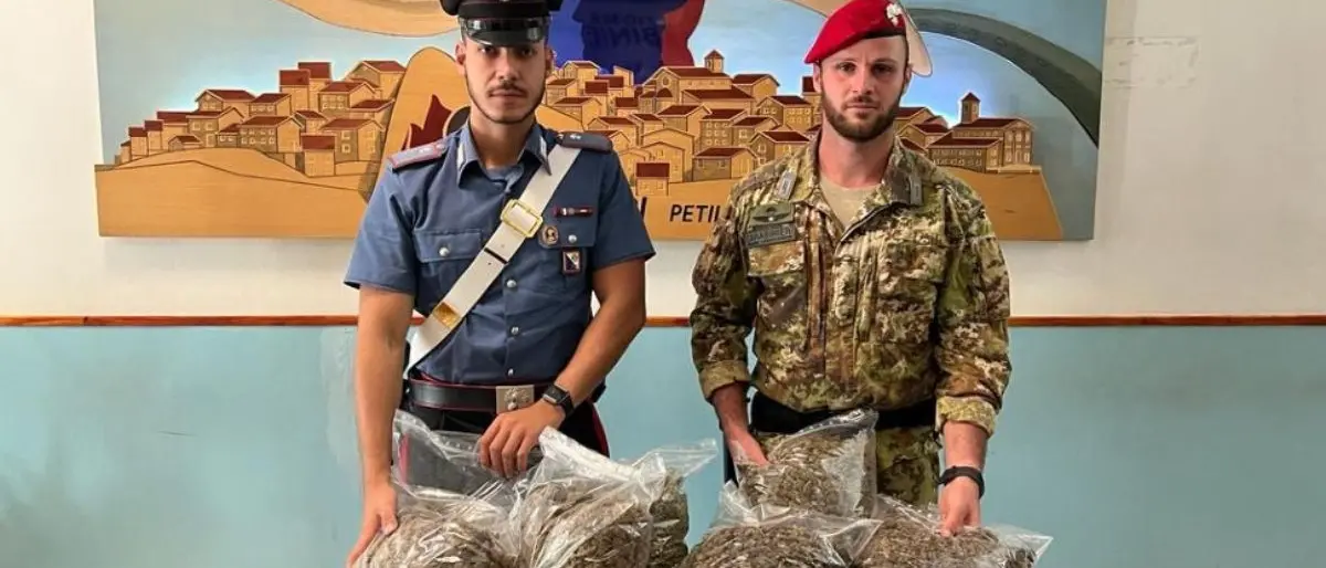 Coltivavano marijuana nel Crotonese, tre arresti: c’è anche un consigliere comunale