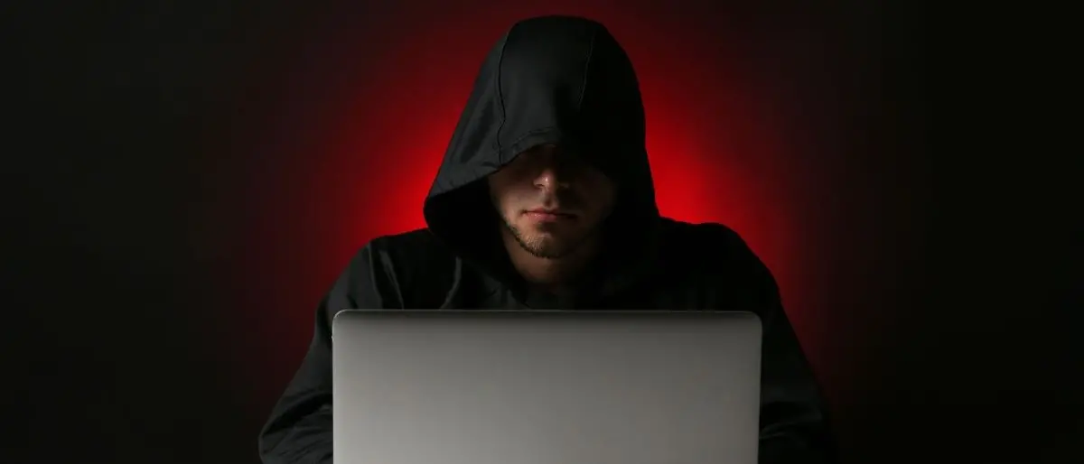 Truffe online nel Cremonese, denunciati due uomini: uno è calabrese