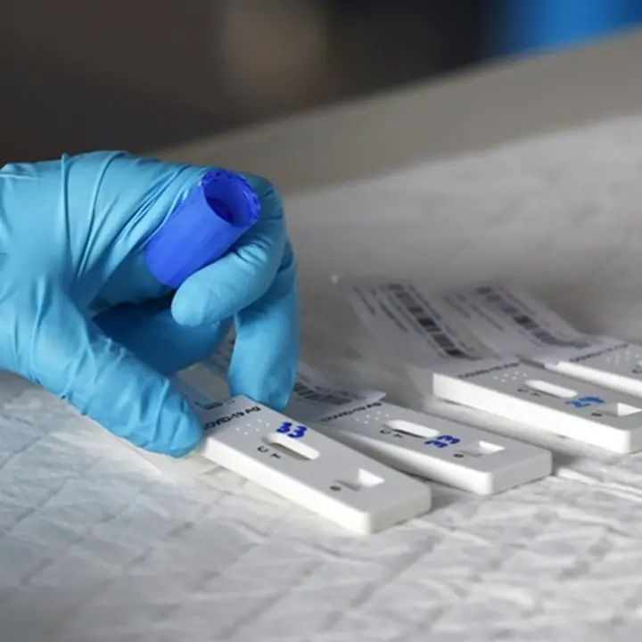 Covid, in Calabria tasso di positività al 25%: 558 nuovi positivi e un decesso nel bollettino