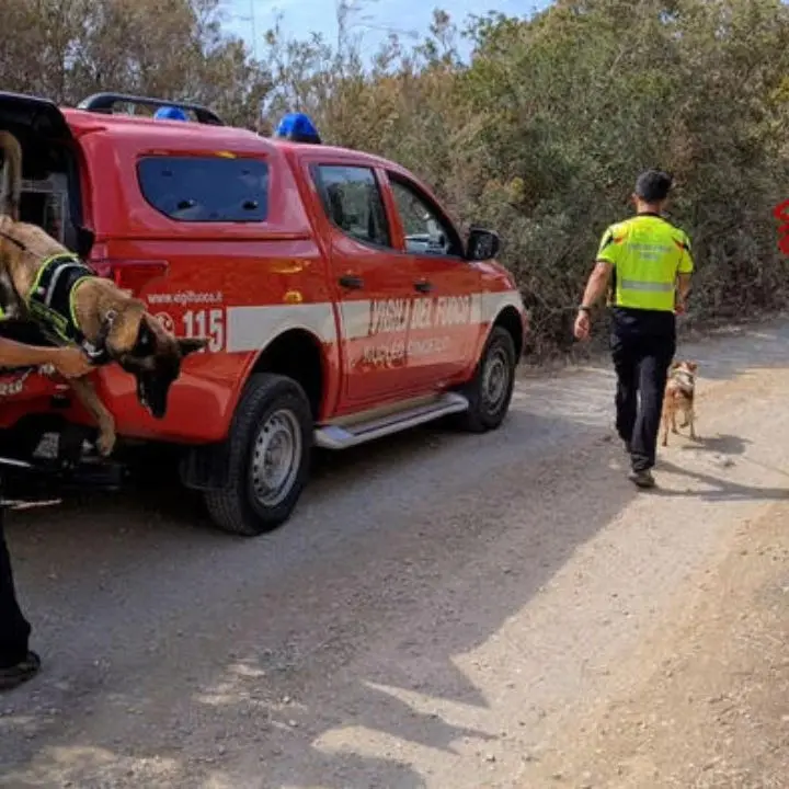 Isola d’Elba, trovata viva tra gli scogli la figlia dell’ex super poliziotto anti ‘ndrangheta Micalizio