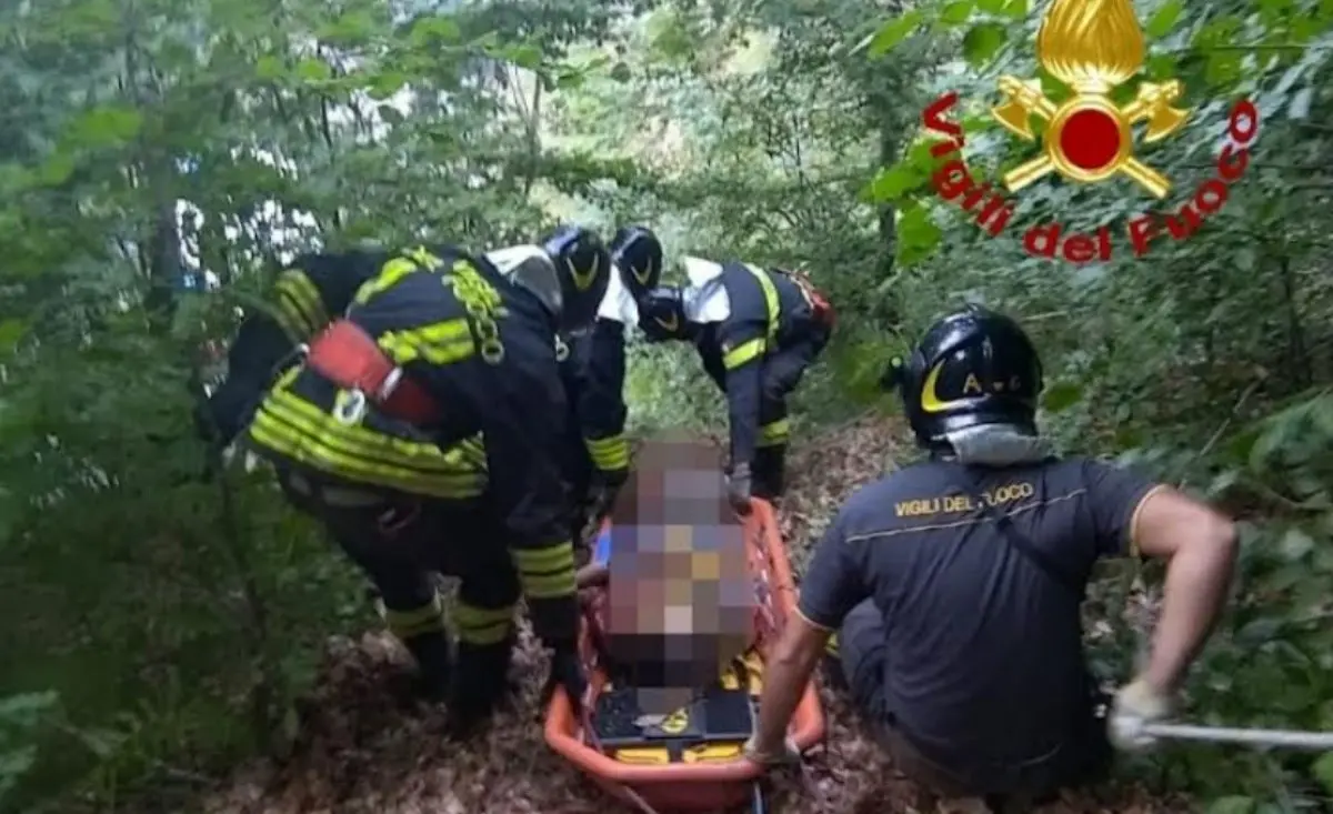 Cade in un dirupo nei boschi dell’Aspromonte e si ferisce, soccorso dai vigili del fuoco