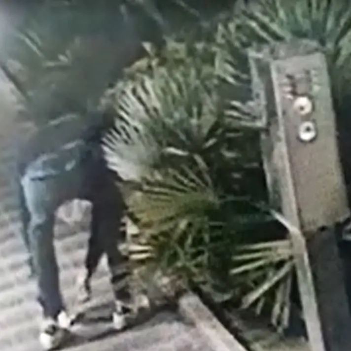 Ondata di solidarietà per il gruppo Ionà, Occhiuto: «La criminalità va combattuta e isolata con coraggio»