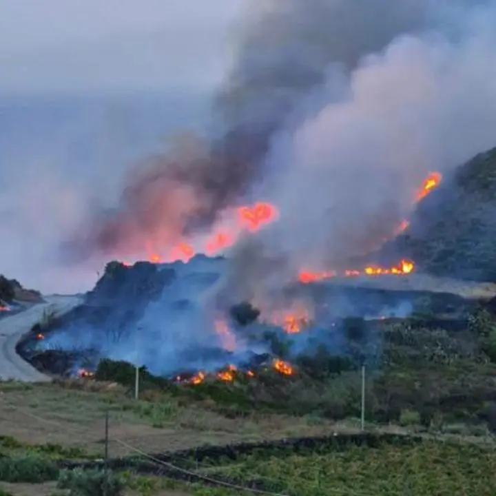 Incendio a Pantelleria, in fiamme oltre 30 ettari di vegetazione: abitanti e turisti in fuga