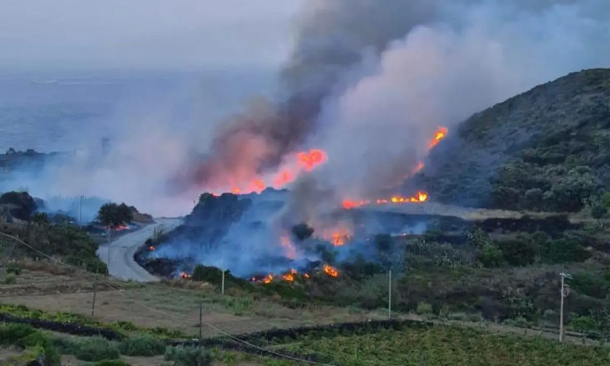 Incendio a Pantelleria, in fiamme oltre 30 ettari di vegetazione: abitanti e turisti in fuga