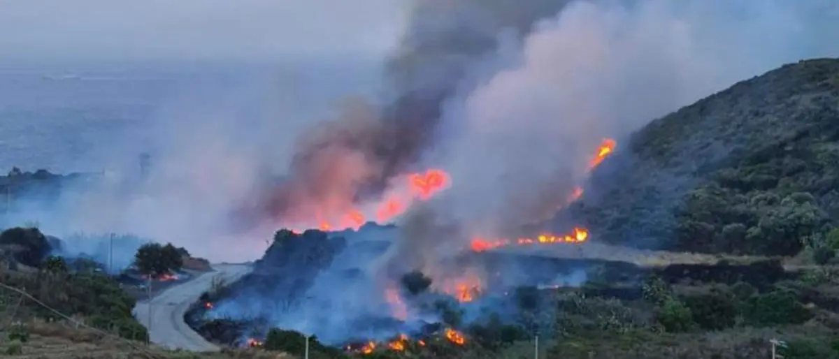 Incendio a Pantelleria, in fiamme oltre 30 ettari di vegetazione: abitanti e turisti in fuga