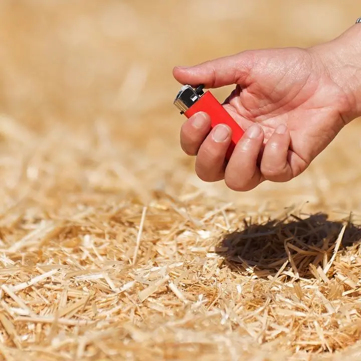 Sorpresi ad appiccare incendi, due uomini denunciati nel Reggino