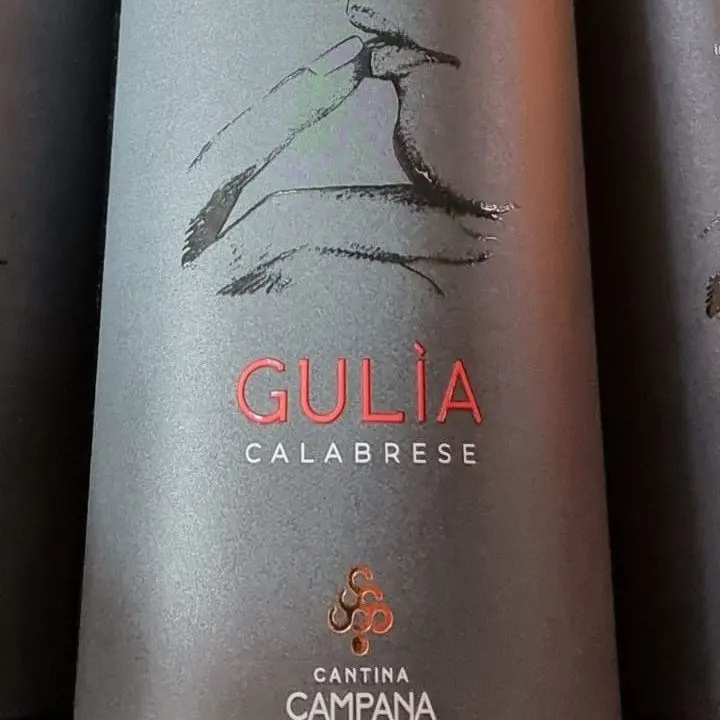 Vini Calabria, medaglia d’oro all’Igt Gulìa 2020 di Cantine Campana di Cirò Marina